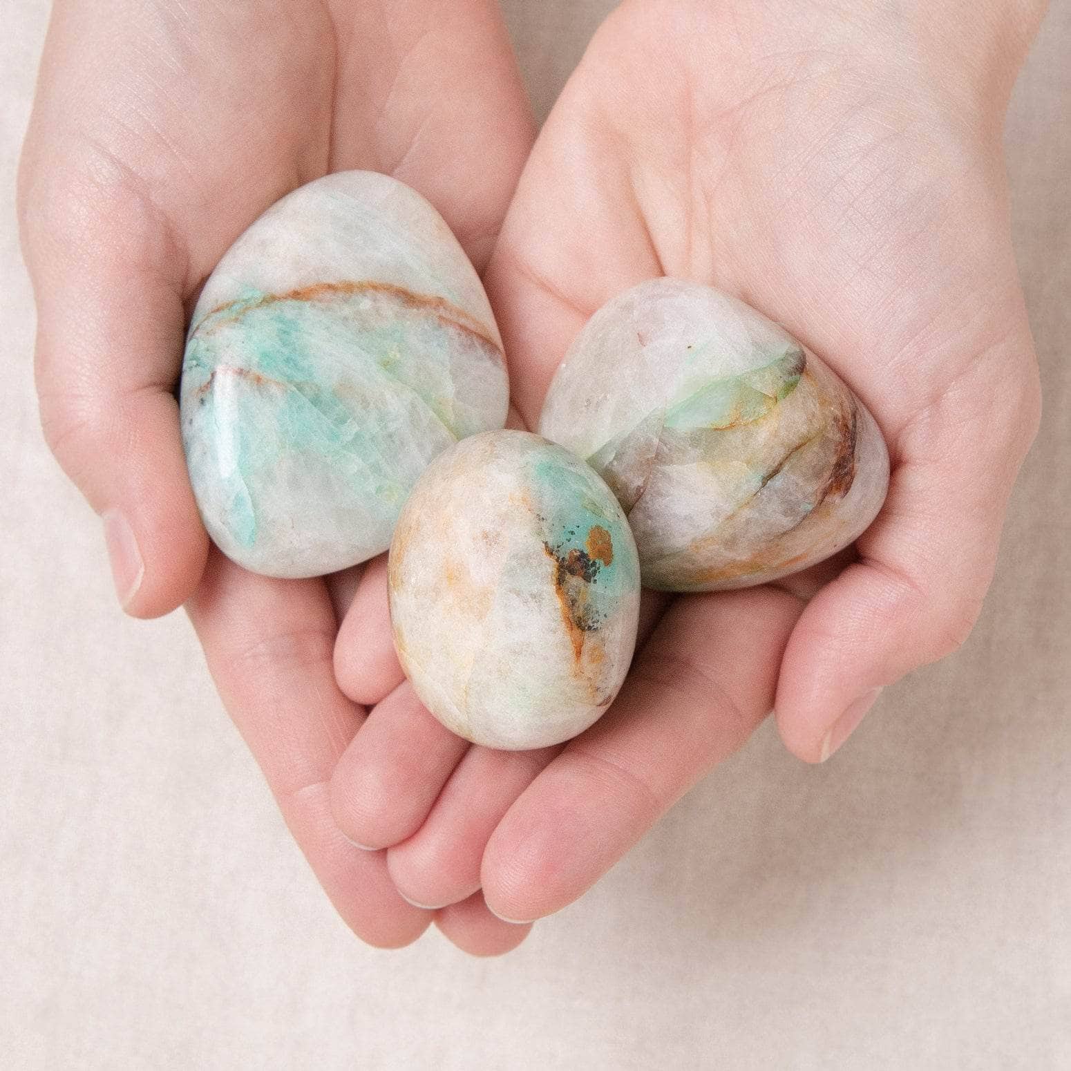 Special Sale Section